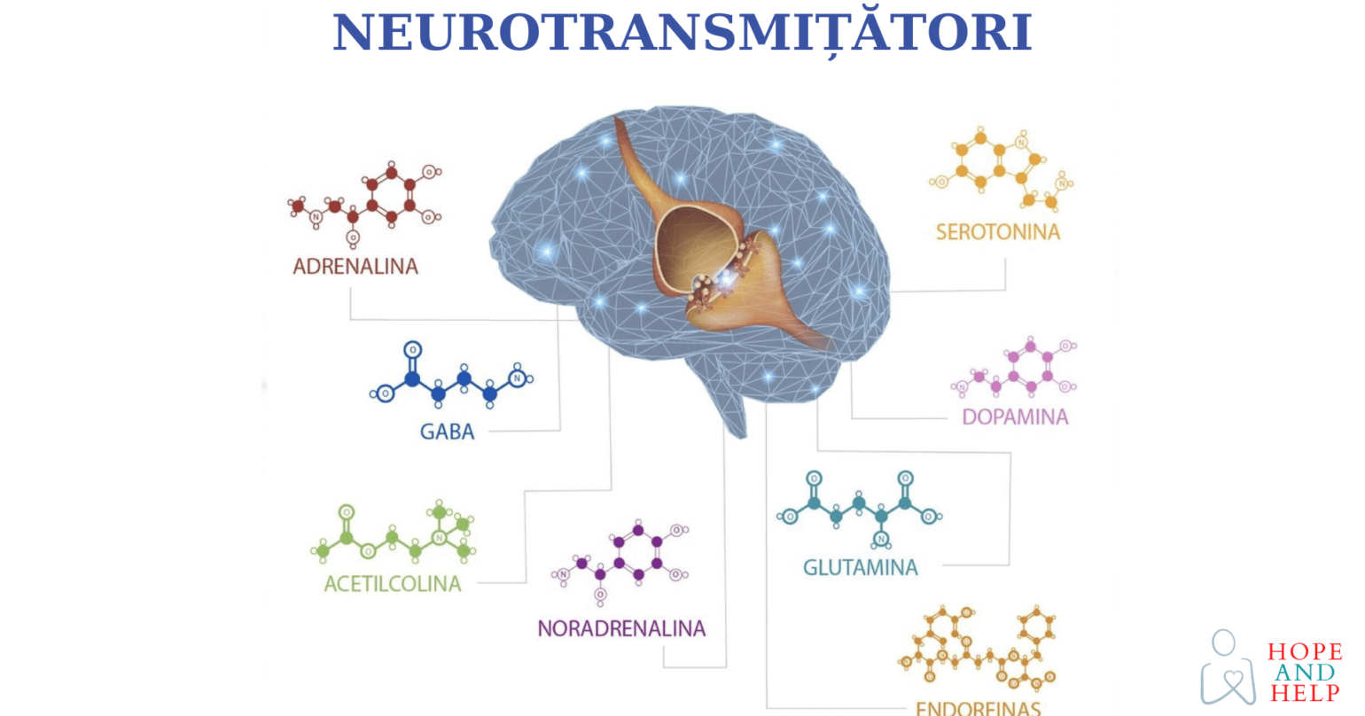 Rolul neurotransmițătorilor și efectul uleiurilor esențiale asupra acestora