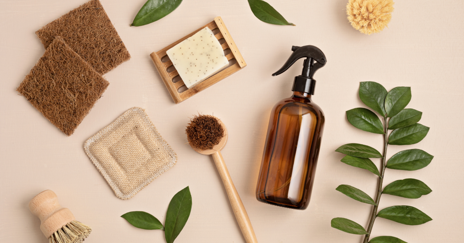 Perturbatorii endocrini din casă: cum influențează sistemul nervos, hormonii și imunitatea